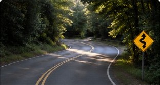 A winding road through a forest