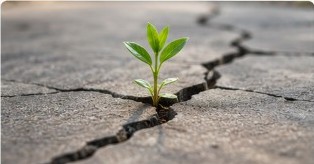A green sprout growing through cracked ground